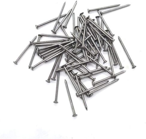 Stainless Steel Hardware Nails, 100g Small Iron Nail, Woodwork, Wall Hanging, 2.5cm-100 g in Saudi Arabia