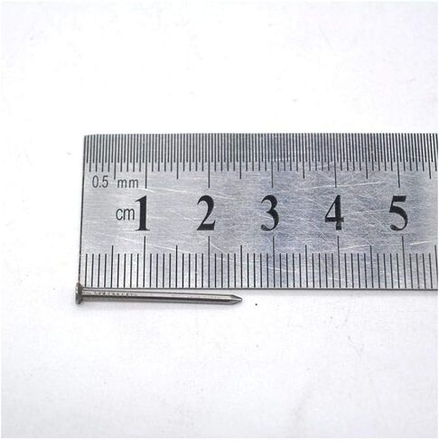 Stainless Steel Hardware Nails, 100g Small Iron Nail, Woodwork, Wall Hanging, 2.5cm-100 g in Saudi Arabia