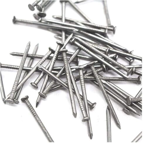 Stainless Steel Hardware Nails, 100g Small Iron Nail, Woodwork, Wall Hanging, 2.5cm-100 g in Saudi Arabia