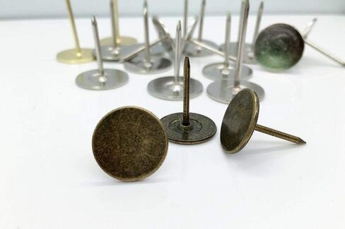 Stainless Steel Hardware Nails, Round Head Nails, Wall, White Large countertop, Silver Flat, tacks-19MM hat * 30MM in Saudi Arabia