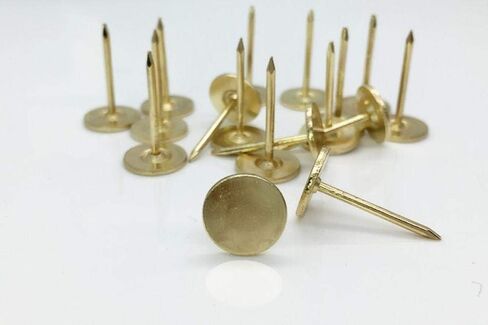 Stainless Steel Hardware Nails, Round Head Nails, Wall, White Large countertop, Silver Flat, tacks-19MM hat * 30MM in Saudi Arabia
