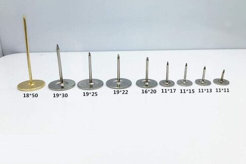 Stainless Steel Hardware Nails, Round Head Nails, Wall, White Large countertop, Silver Flat, tacks-19MM hat * 30MM in Saudi Arabia