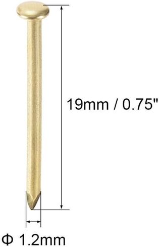 Stainless Steel Hardware Nails, 100 Small Nail Nails 1.2 X19mm, Used for DIY Decoration Picture Wooden Box Household Accessories Gold in Saudi Arabia