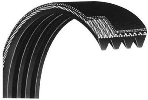 H.F Exchange Replacement Motor Drive Belt, Poly V Rib OEM Equivalent Flexonic High Strength Rubber Transmission Belt for Treadmill Work with Star Trac S-TRX S-TRC 9-3561-MUSAP0 3553-MUSAP3 in Saudi Arabia