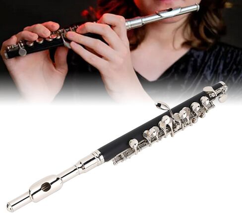 Eujgoov C Piccolo Instrument Ni Plated Keys Sturdy Metal with Cleaning Kit Tuning Rod for Student School Band Orchestra in Saudi Arabia