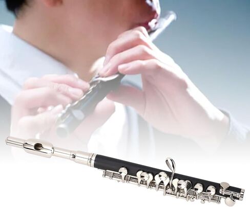 Eujgoov C Piccolo Instrument Ni Plated Keys Sturdy Metal with Cleaning Kit Tuning Rod for Student School Band Orchestra in Saudi Arabia