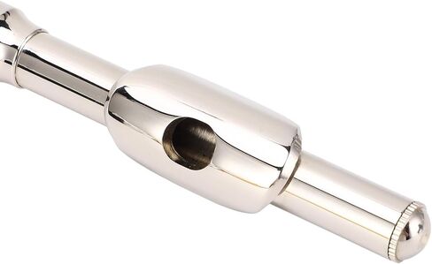 Eujgoov C Piccolo Instrument Ni Plated Keys Sturdy Metal with Cleaning Kit Tuning Rod for Student School Band Orchestra in Saudi Arabia