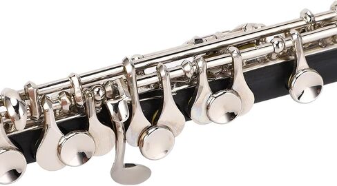 Eujgoov C Piccolo Instrument Ni Plated Keys Sturdy Metal with Cleaning Kit Tuning Rod for Student School Band Orchestra in Saudi Arabia