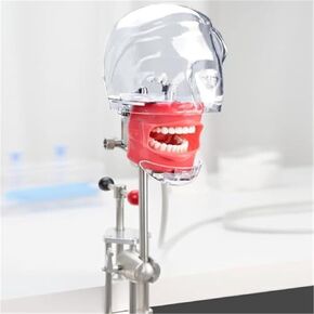 Detachable Dental Simulator with Drainage Design, Phantom Head Training Model, Used for Doctor Teaching and Training in Kuwait