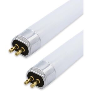 Technical Precision Replacement for DENTSPLY 3000 Series Light Bulb 2 Pack in Saudi Arabia