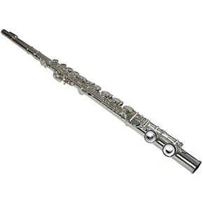 THE WILMINGTON CLOSED HOLE C FLUTE in Kuwait