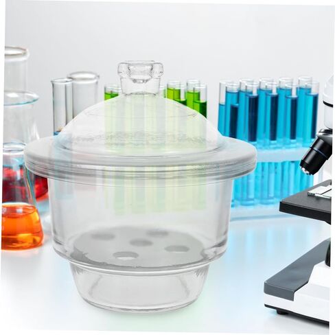 1 قطعة جرة مجفف الزجاج زجاجة مجفف المختبر لتجفيف الفراغ الأواني الزجاجية عالية الشفافية ثقوب قاعدة عشوائية للتجارب العلمية in Kuwait