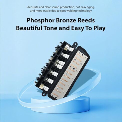 12 Key Melodica Instrument with Tube, Piano Keyboard Melodica, Portable Harmonica Keyboard Melodica Instrument for Beginners, Compact Melodica with Mouthpiece, C Major in Kuwait