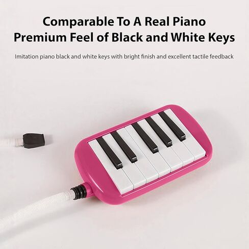 12 Key Melodica Instrument with Tube, Piano Keyboard Melodica, Portable Harmonica Keyboard Melodica Instrument for Beginners, Compact Melodica with Mouthpiece, C Major in Kuwait