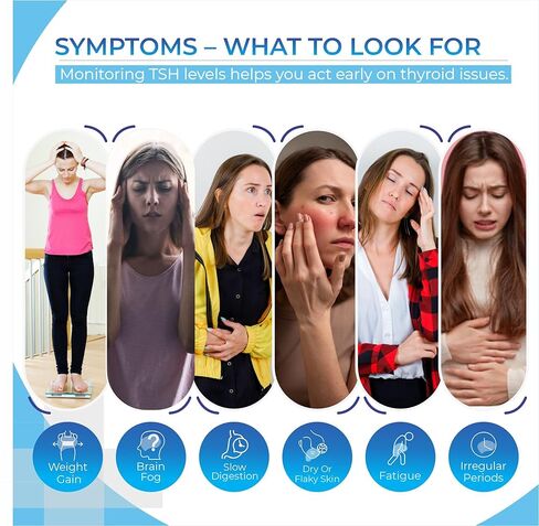 Thyroid Test kit at Home (2 Test) with Live Support - TSH underactive Thyroid Testing kit - Quick, Easy and Reliable at Home Test for Monitoring Thyroid Health in Saudi Arabia