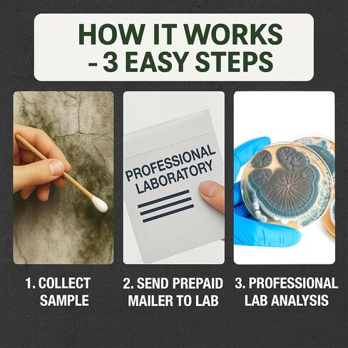 Mold Swab Test Kit for Home - Lab Analysis Included - Surface Swab Sampling for Indoor Mold, Detects 20+ Common Mold Types - Simple 3-Step Process - Made in USA in Saudi Arabia