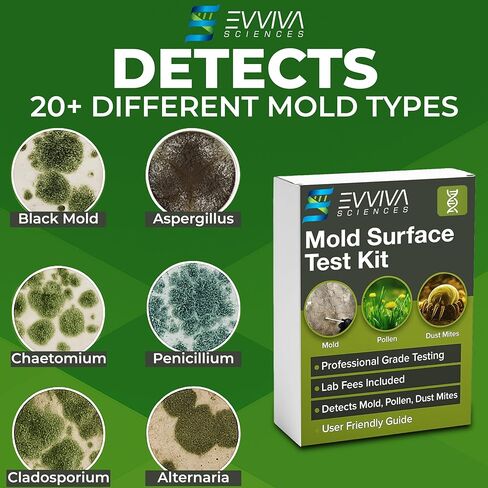 Mold Swab Test Kit for Home - Lab Analysis Included - Surface Swab Sampling for Indoor Mold, Detects 20+ Common Mold Types - Simple 3-Step Process - Made in USA in Saudi Arabia