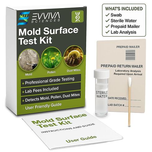 Mold Swab Test Kit for Home - Lab Analysis Included - Surface Swab Sampling for Indoor Mold, Detects 20+ Common Mold Types - Simple 3-Step Process - Made in USA in Saudi Arabia
