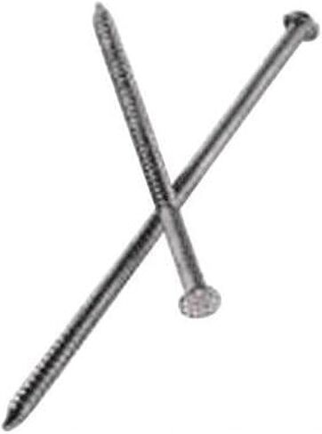 6D 2 in. Siding Stainless Steel Nail with Round Head Ring Shank, 5 lbs - Pack of 1225 in Saudi Arabia