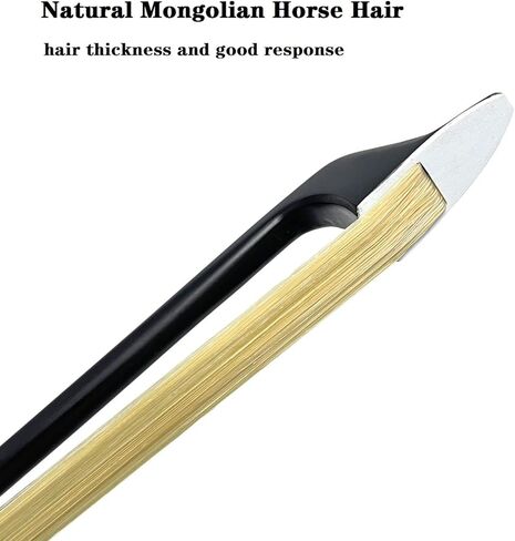 قوس باس مستقيم من LIEKE من خشب البرازيل مقاس 4/4، موديل فرنسي، قوس مزدوج in Kuwait