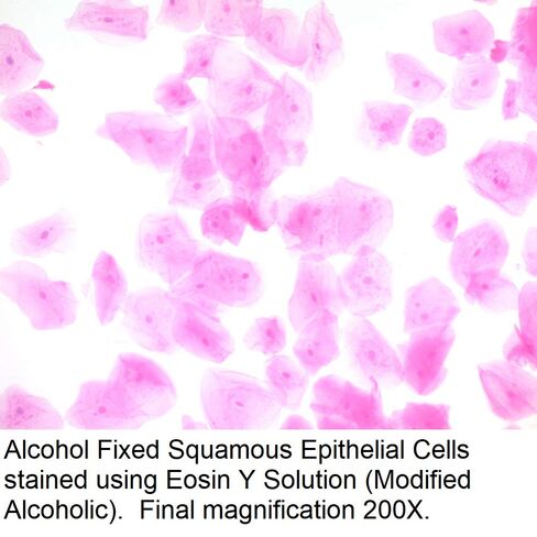 محلول الأيوسين واي (كحولي معدل)، 1 جالون in Kuwait