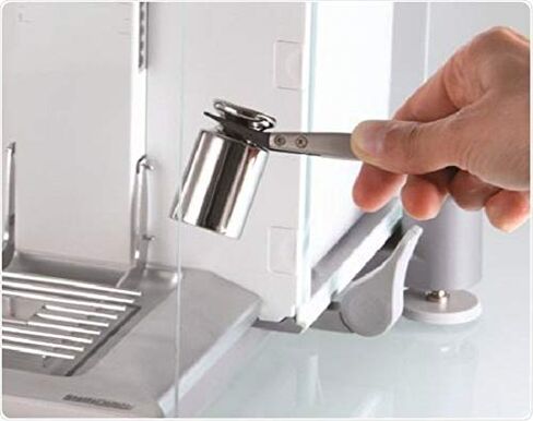 True 100g OIML Class M2 Precison Calibration Weight, Chrome Finish, Test Weight for Digital Gram Scale in Kuwait