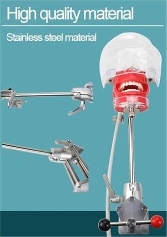 محاكي أسنان قابل للفصل مع تصميم تصريف، نموذج تدريب رأس فانتوم، يستخدم لتعليم وتدريب الأطباء in Kuwait