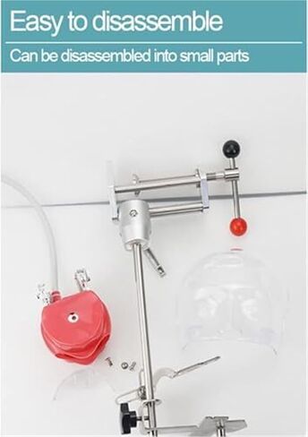 محاكي أسنان قابل للفصل مع تصميم تصريف، نموذج تدريب رأس فانتوم، يستخدم لتعليم وتدريب الأطباء in Kuwait