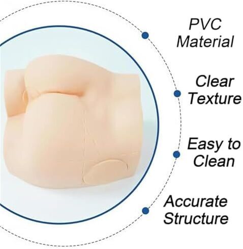 نموذج تدريب حقن عضلات الورك in Kuwait