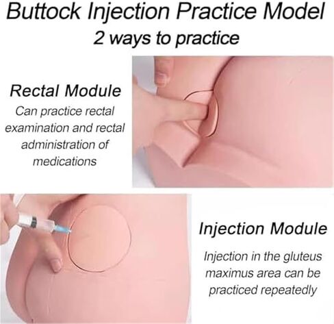 نموذج تدريب حقن عضلات الورك in Kuwait
