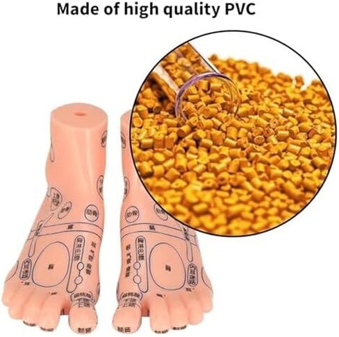 Foot Model of Human Acupuncture Teaching Tool, Suitable for Human Classroom Research and Demonstration Teaching in Kuwait