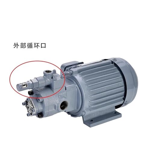 Hydraulic Gear Pump 380V TOP-210HB Oil Triangular Motor Set 750W TOP-210 in Kuwait