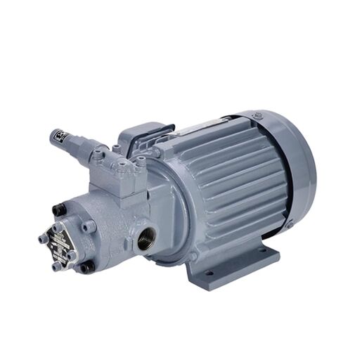 Hydraulic Gear Pump 380V TOP-210HB Oil Triangular Motor Set 750W TOP-210 in Kuwait