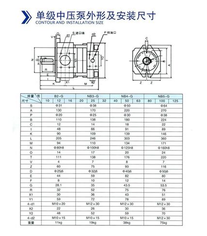 Hydraulic Gear Pump NB2 High Pressure Oil Pumps NB2-C25F Cutting Machine Internal for Bending in Kuwait