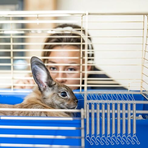 10 Pcs Extension Spring, Stainless Steel Spring with 2 Clips to Hold Rabbit Water Dispenser Drinking Bottle, Small Springs for Feeding or Watering Small Animals, Can Be Used Alone or in Combination in Kuwait