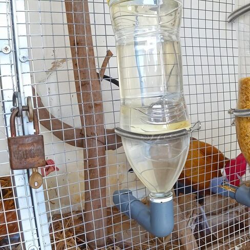 10 Pcs Extension Spring, Stainless Steel Spring with 2 Clips to Hold Rabbit Water Dispenser Drinking Bottle, Small Springs for Feeding or Watering Small Animals, Can Be Used Alone or in Combination in Kuwait