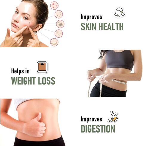 PB Haritaki, Inknut Powder, Haralu (100 Grams), Harar, Karakkaya, Kaudukai, Terminalia Chebula for Weight Loss, Digestion, Face, Dark Circles in Saudi Arabia