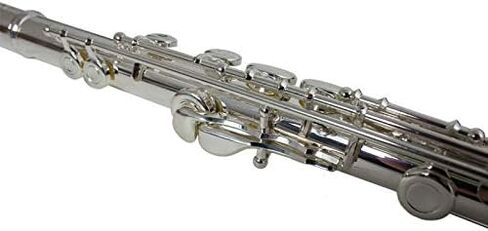THE WILMINGTON CLOSED HOLE C FLUTE in Kuwait