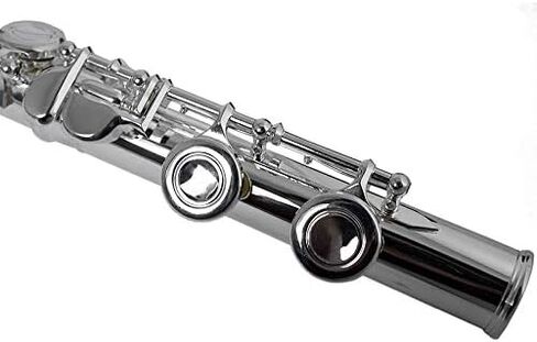 THE WILMINGTON CLOSED HOLE C FLUTE in Kuwait