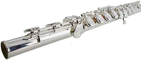 THE WILMINGTON CLOSED HOLE C FLUTE in Kuwait