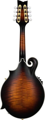 Ortega Guitars, 8-String F-Style Series All Solid Acoustic-Electric Mandolin w/Bag, Right, Gold (RMFE100AVO) in Saudi Arabia