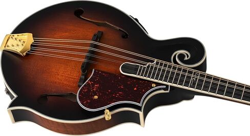 Ortega Guitars, 8-String F-Style Series All Solid Acoustic-Electric Mandolin w/Bag, Right, Gold (RMFE100AVO) in Saudi Arabia