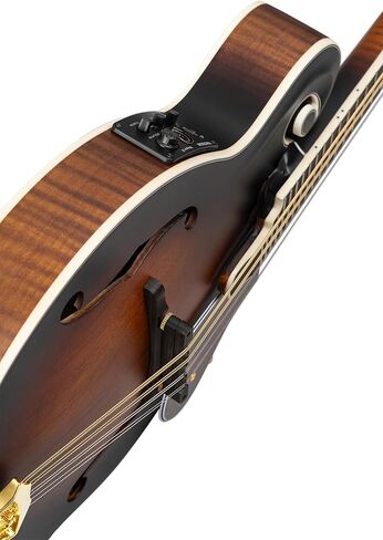 Ortega Guitars, 8-String F-Style Series All Solid Acoustic-Electric Mandolin w/Bag, Right, Gold (RMFE100AVO) in Saudi Arabia
