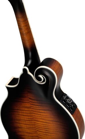 Ortega Guitars, 8-String F-Style Series All Solid Acoustic-Electric Mandolin w/Bag, Right, Gold (RMFE100AVO) in Saudi Arabia