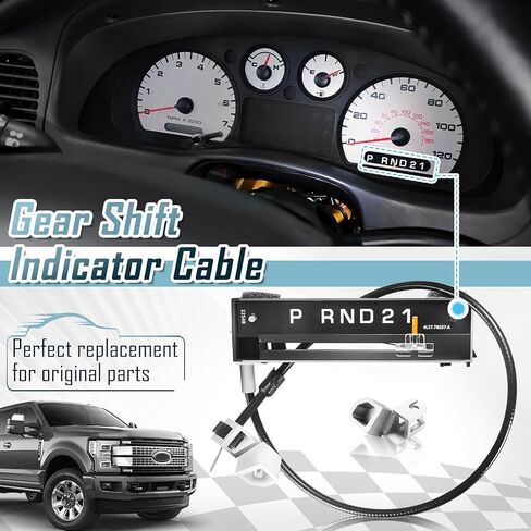 6L5Z-7A110-AA Gear Shift Indicator Assembly suitable for 2004-2011 Ford Ranger in Kuwait
