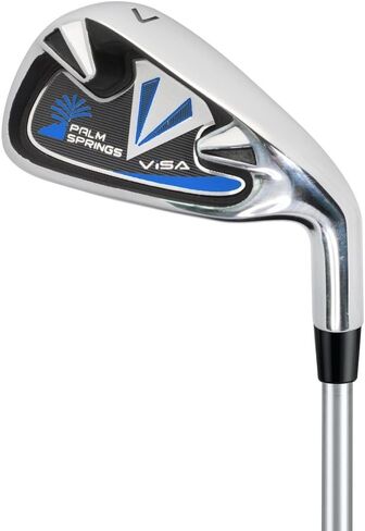 Palm Springs Golf VISA Mens +1" TALL GRAPHITE & STEEL Club Set & Stand Bag in Saudi Arabia