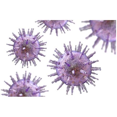 Identifying The Epstein Barr Virus Using Elisa for 10 Lab Groups in Saudi Arabia