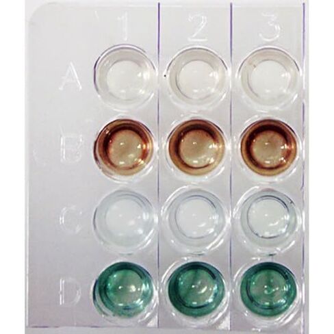 Introduction to Elisa Reactions for 10 Lab Groups in Saudi Arabia