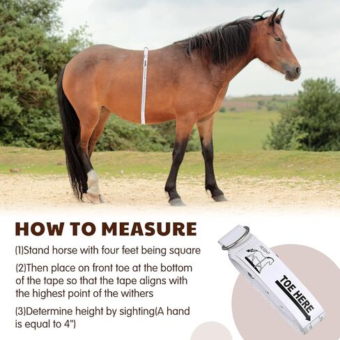 2 Pcs Horse Measuring Stick and Tape for Height and Weight, Height Pole, Accurately Measure The Basic Information of Horse, Measurable (20, Hands or Less) Horses in Saudi Arabia