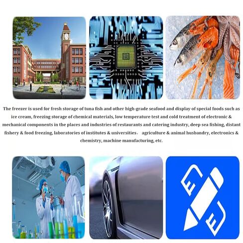 INTSUPERMAI Ultra Low Temperature Storage Box Temperature Range -15℃ to -45℃ Ultra-Low Temp Freezer Storage Refrigerator for Sample Seafood Ice Cream Storage 110V 30L in Kuwait